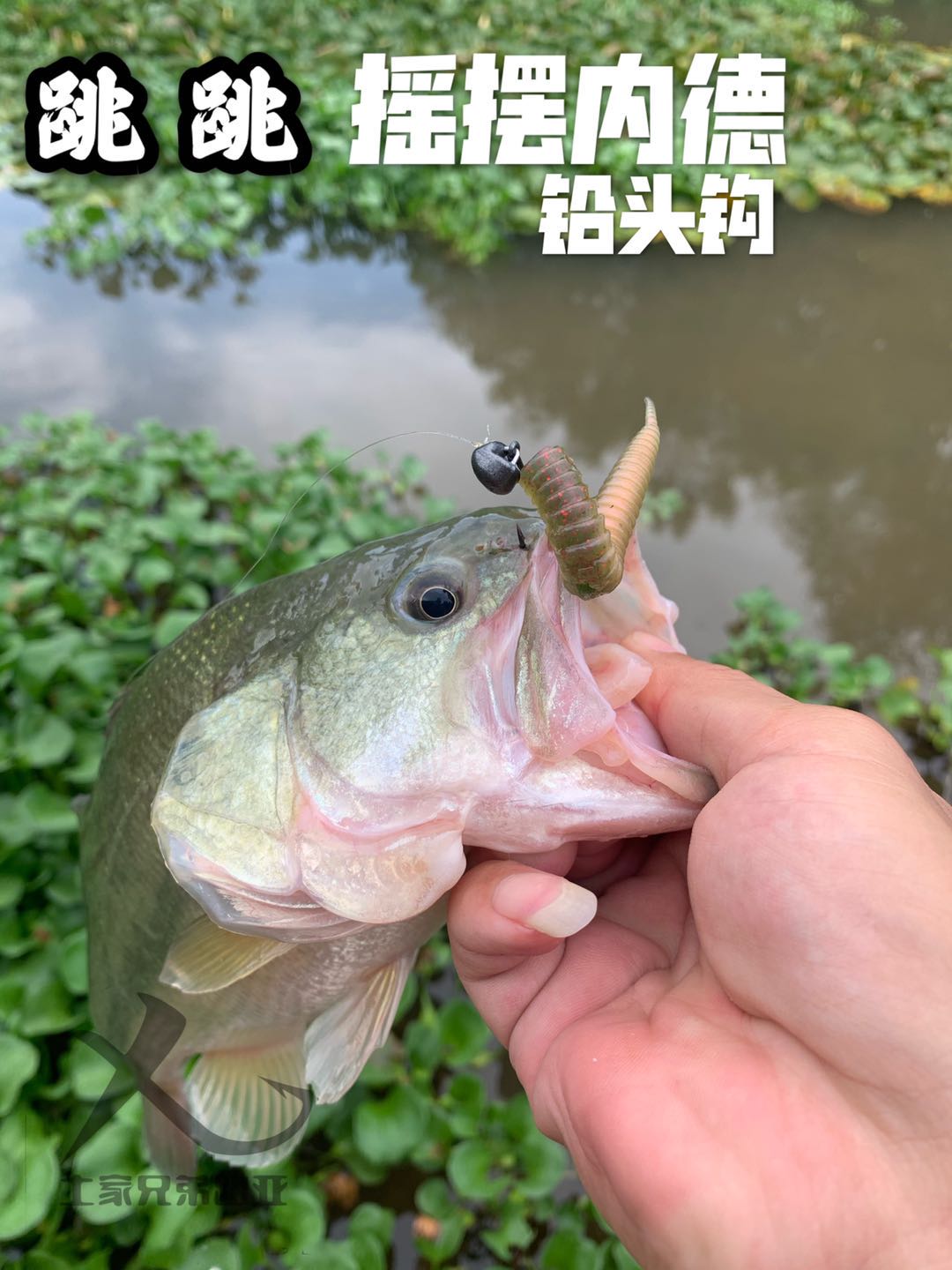 土家兄弟路亚跳跳摇摆曲柄铅头钩浮水饵黑坑Ned内德铅头钩鲈鱼-图0