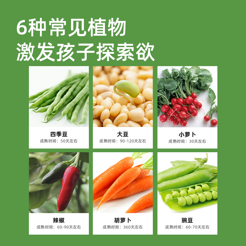 阳光房种植观察盒科学小实验套装