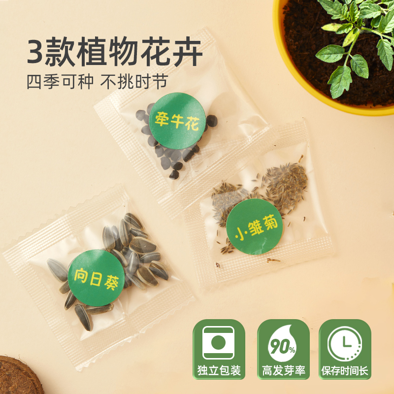 mideer弥鹿阳光房种植花房儿童玩具手工diy观察盒六一儿童节礼物 - 图1