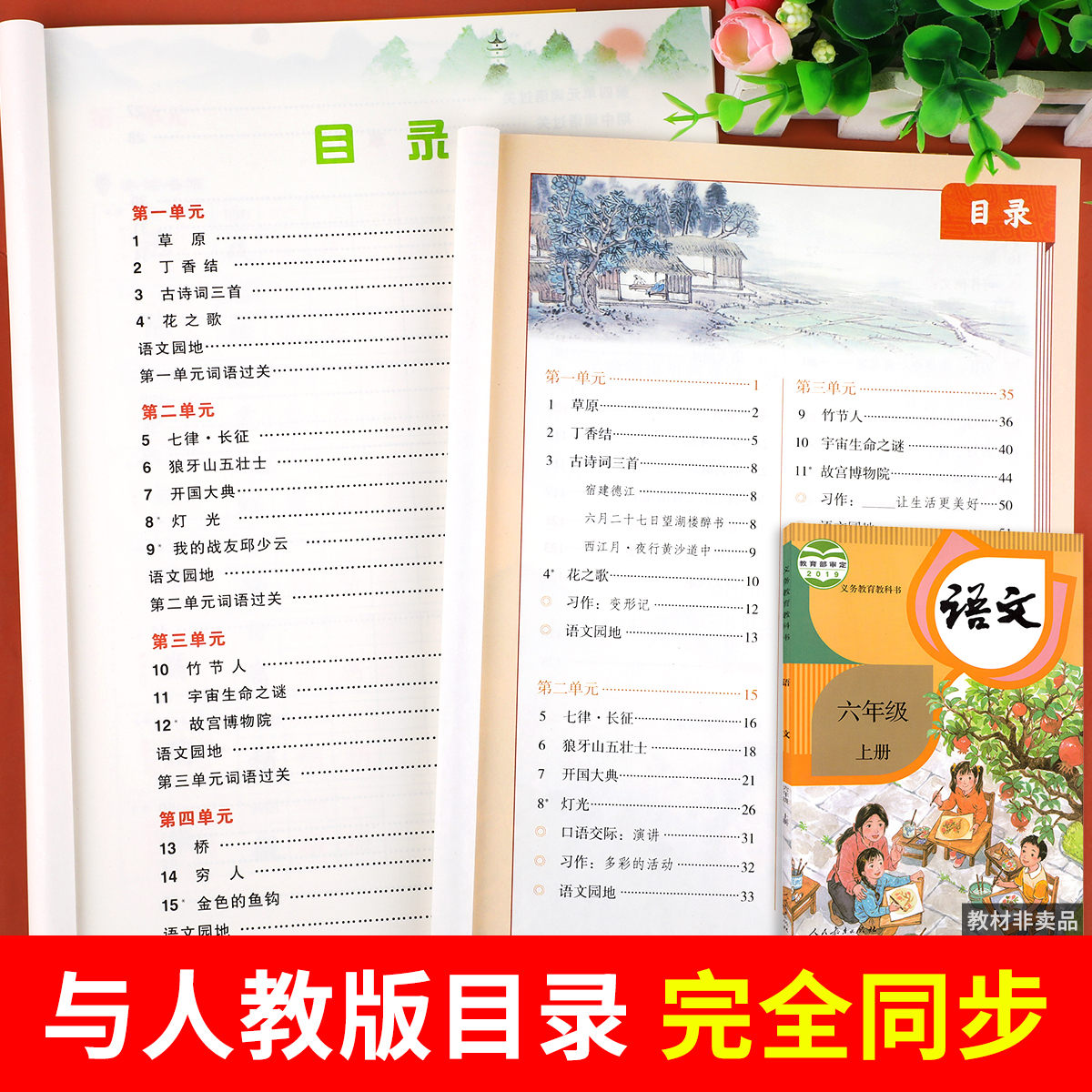 六年级上册同步练字帖 小学语文字帖写字课课练人教版6年级上学期 小学生描红临摹课本生字练习训练习字帖练字摹写本RJ