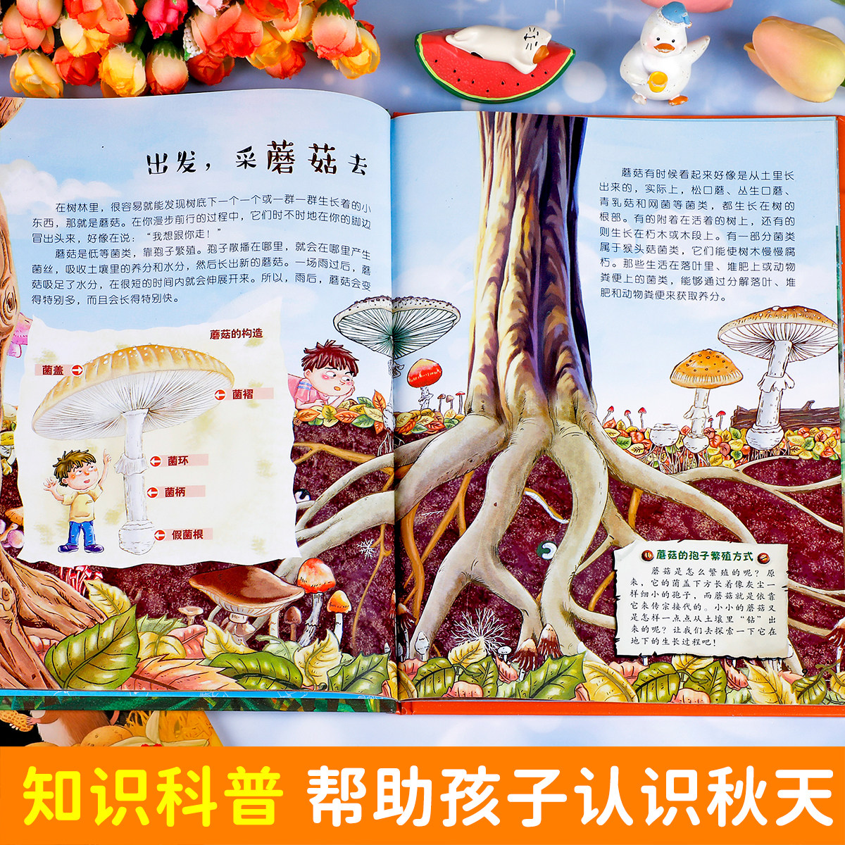 图 4