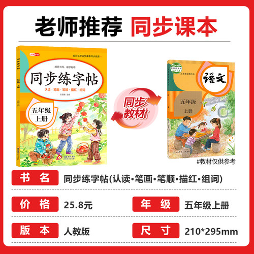 2026新版 五年级上册同步字帖人教版 练字帖小学生专用5上学期语文课本教材训练生字描红硬笔书法练习正楷书练字本写字课课练RJ - 图0