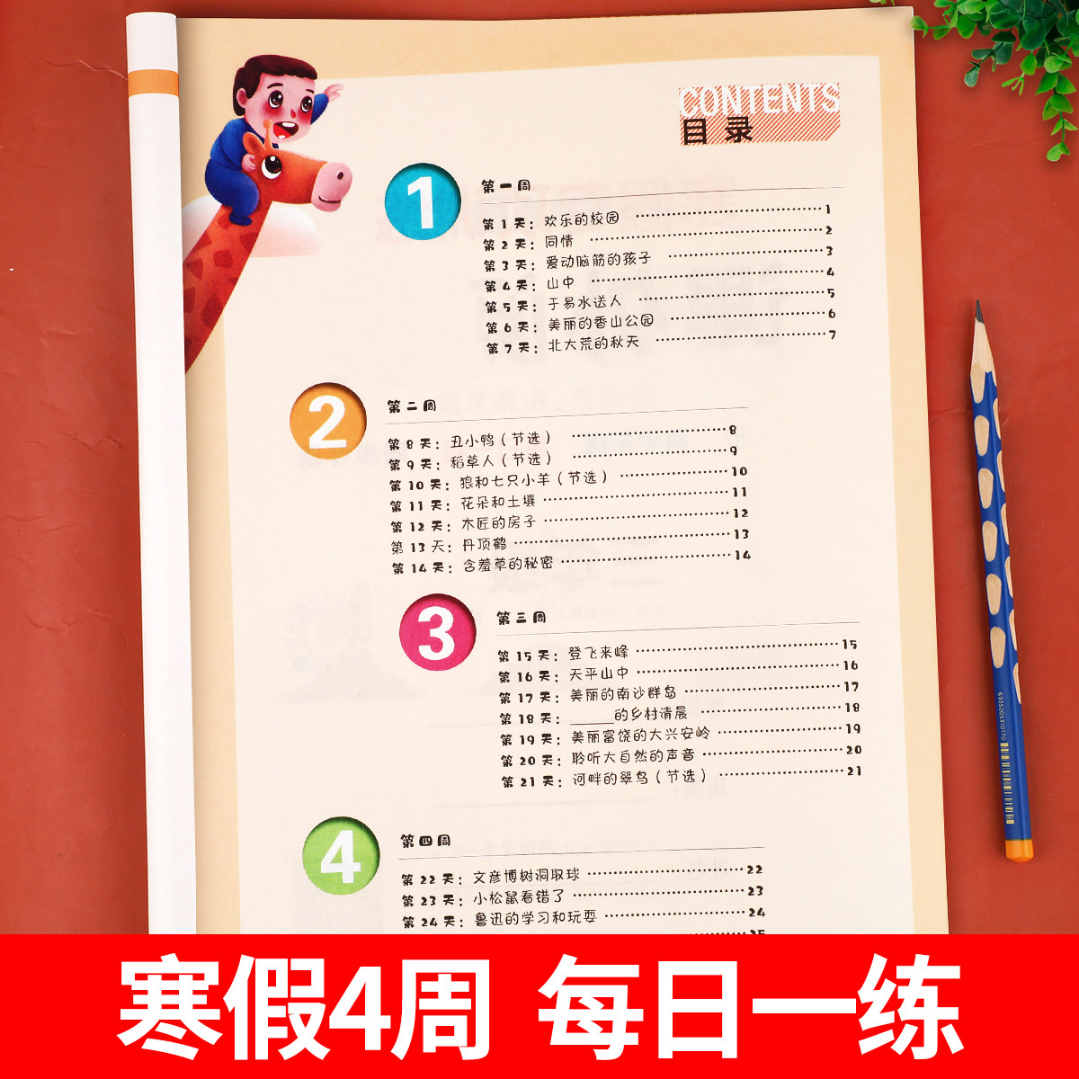 老师推荐】三年级寒假阅读 语文阅读理解训练题人教版每日一练小学3年级上/下寒假衔接练习上册下册专项强化训练书课外阅读书籍RJ