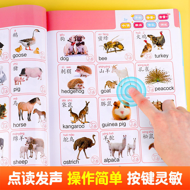 宝宝点读认知发声书 会说话的早教有声书 幼儿看图识字点读书认数学英文字母书籍 好习惯养成故事绘本图书0-1-2-3-4-5-6岁有声读物