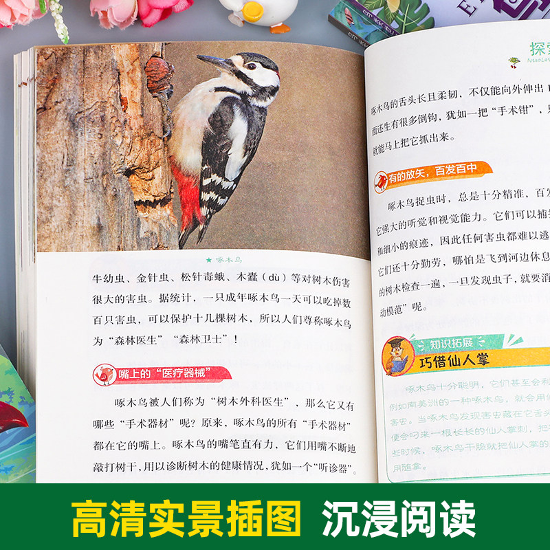 全4册彩图版鸟类世界大百科全书探索揭秘自然科学启蒙儿童读物科普书籍鸟类图鉴动物百科全书适合小学生看的课外阅读书籍老师推荐