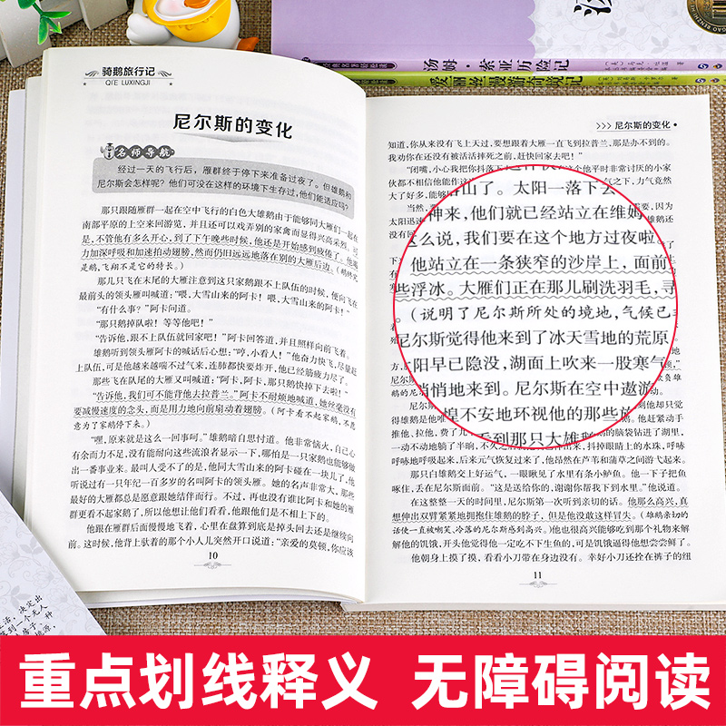 全套4册骑鹅旅行记六年级必读的课外书下册原著正版鲁滨逊漂流记爱丽丝漫游奇境记汤姆索亚历险记快乐读书吧推荐阅读书目尼尔斯6 - 图1