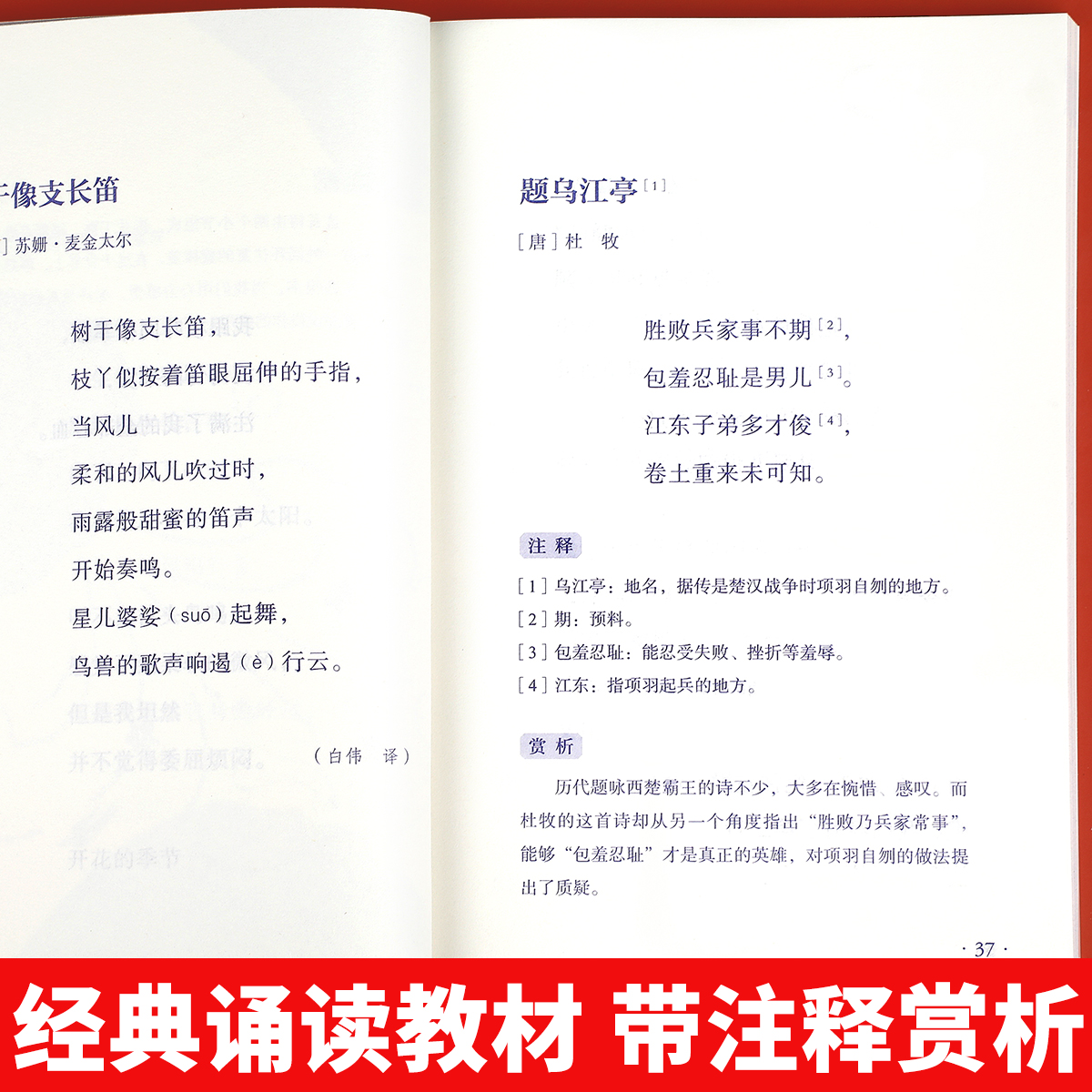 【第六版】四年级日有所诵亲近母语经典诵读教材全国通用中华古诗文诵读国学经典小学生4年级每日诵读注音版晨诵暮读全套上册下册