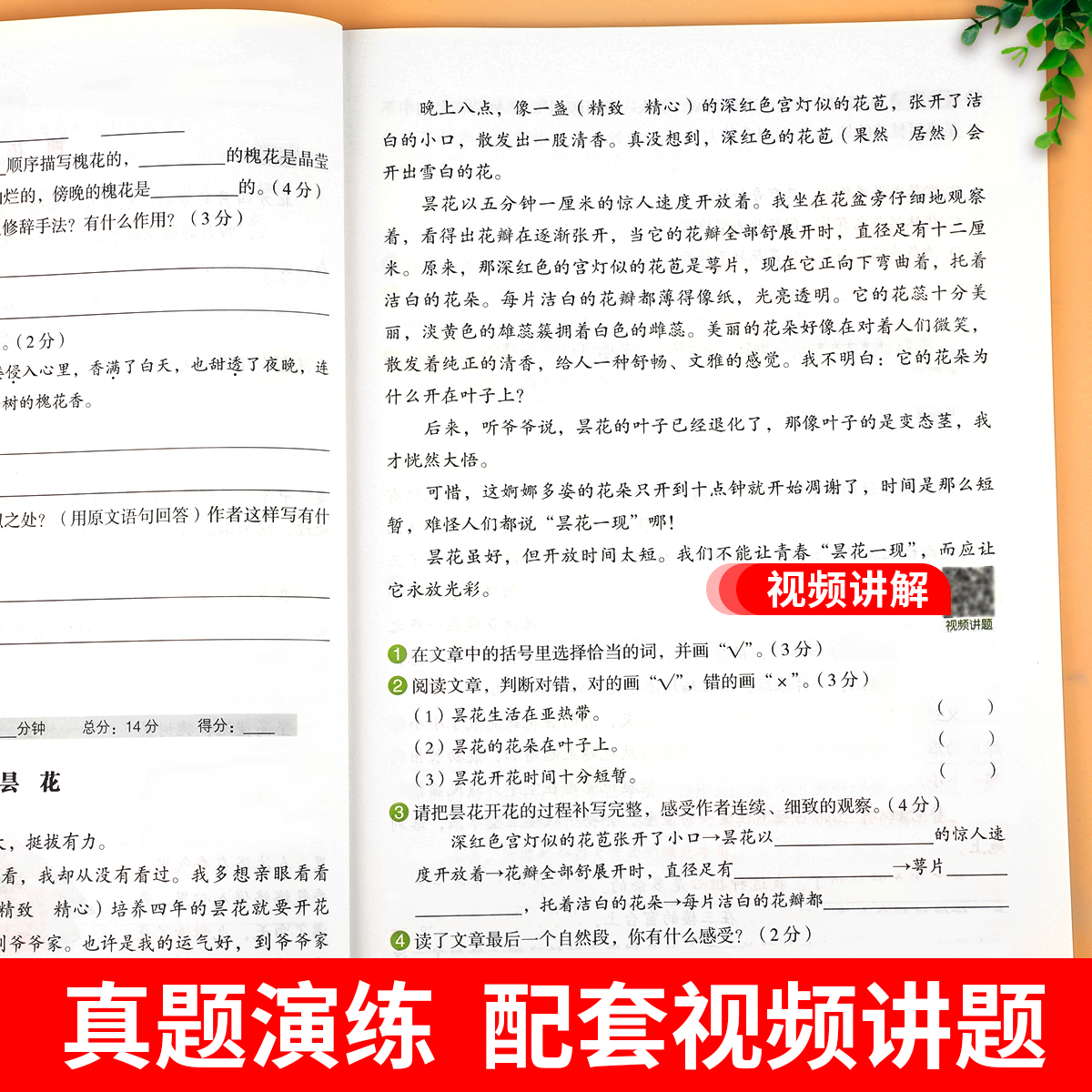 四年级阅读理解训练题人教版小学语文4年级上下册阅读理解专项训练书答题技巧模板公式法课外阅读理解培优真题强化训练每日一练RJ - 图2