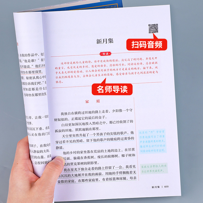 泰戈尔诗选飞鸟集新月集小学生散文读本四年级下册必读的课外阅读书正版下儿童文学全集作品诗集现代诗散文集 SW-图1