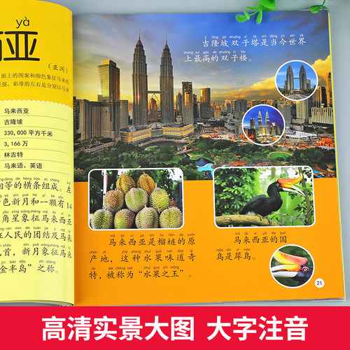 国旗大百科彩图注音版世界各国国旗大全书儿童百科全书科普读物认识国旗国徽科普小百科书籍幼儿科学启蒙认知绘本3-6-10岁小学生YJ - 图2