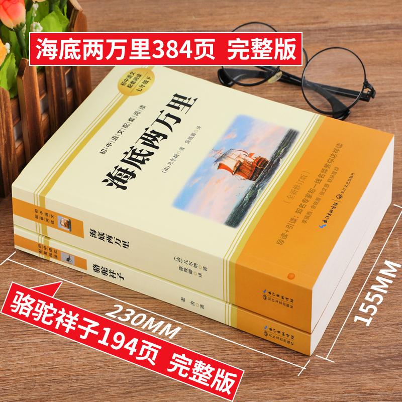 骆驼祥子原著正版老舍七年级必读和海底两万里凡尔纳七年级下册经典名著初中生课外书初一语文推荐阅读完整版非人民教育文学出版社 - 图0