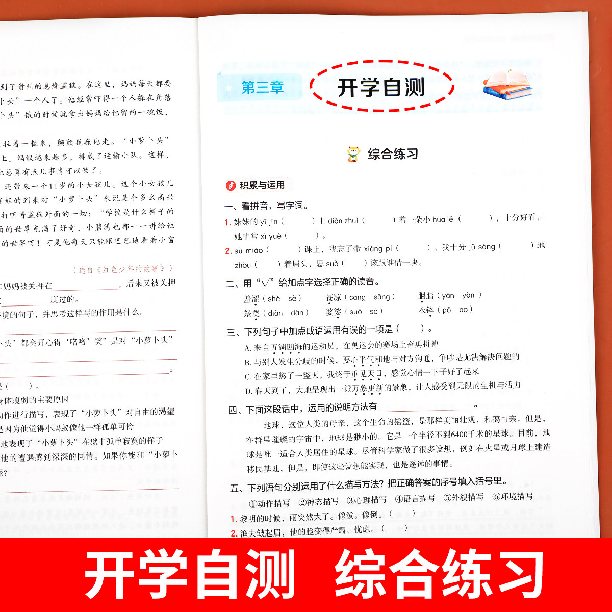2026新版 六年级寒假衔接人教版语文数学英语全套练习册6年级上册下册复习预习寒假作业一本通专项训练部编版练习题小学生快乐假期