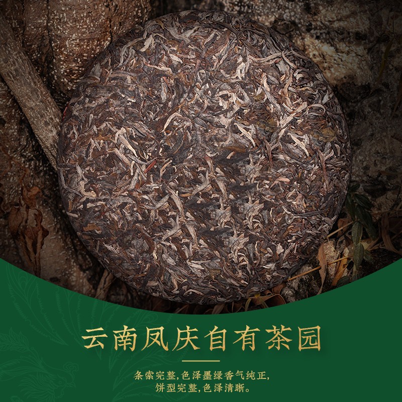 凤牌云南滇红集团普洱茶生茶 2023年 F7813临沧茶区 357g-图1