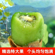 Shaanxi Eyebrow County Xu Xiangqi Exotic Fruits Zhengzong Special Class Fresh Catfish When Season Green Heart Chic Exotic Fruit Whole Box 5