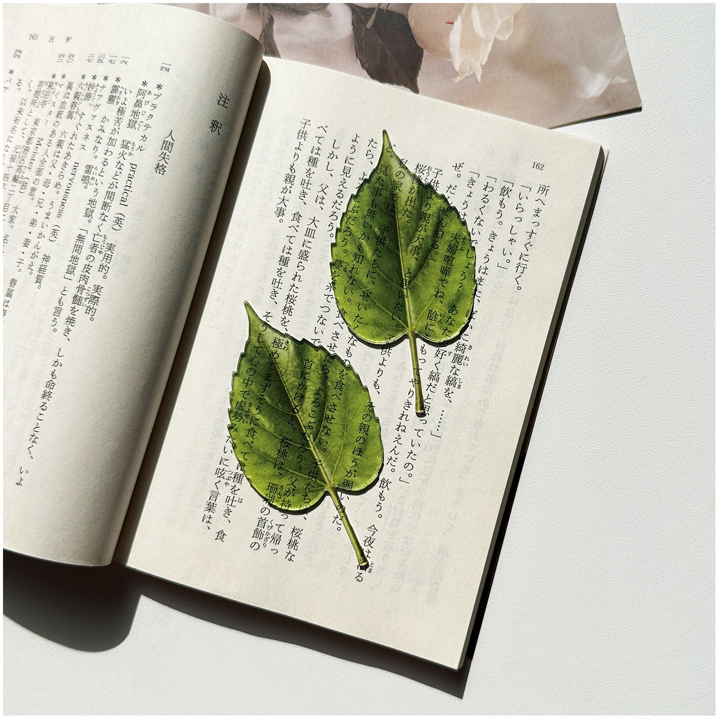 ins原创复古文艺绿色叶子书签树叶亚克力高颜值透明精致可爱透卡,淘宝优惠券,粉丝福利购,淘宝优惠卷