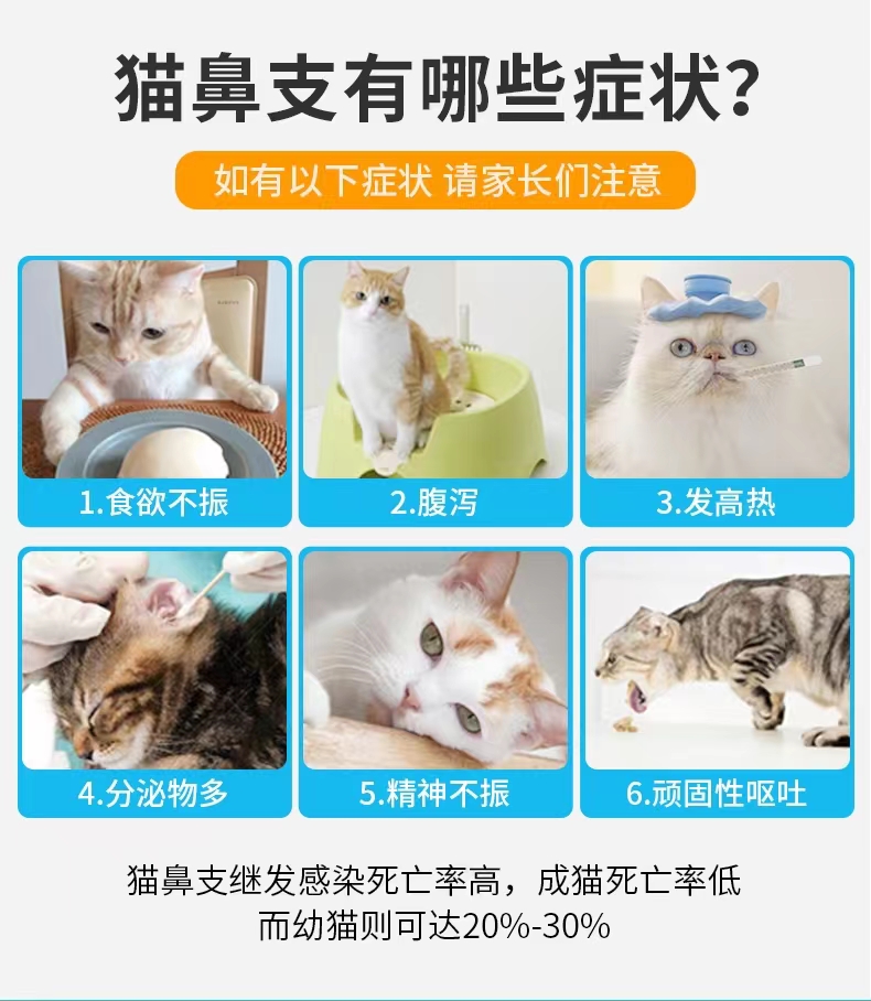 猫鼻支试纸疱疹病毒试纸病毒测纸检测卡感冒流鼻涕打喷嚏流泪-图0