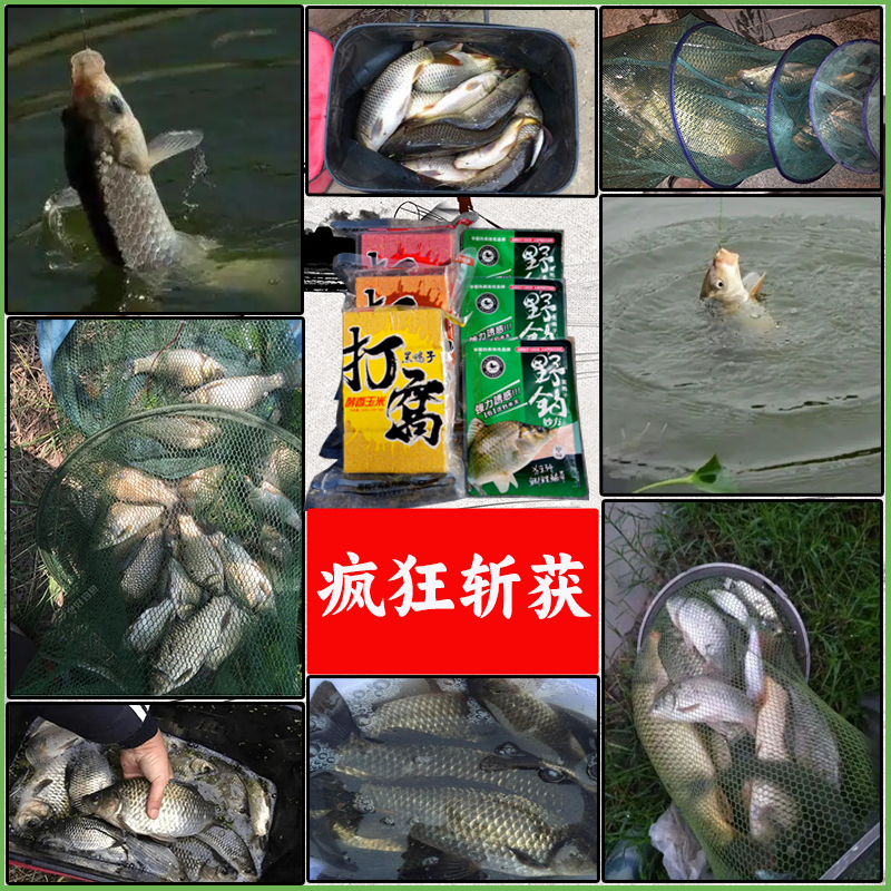 黑鸭子野钓妙方老三样一包搞定饵料红虫虾粉浓腥饵江河湖库鲫鱼饵 - 图2