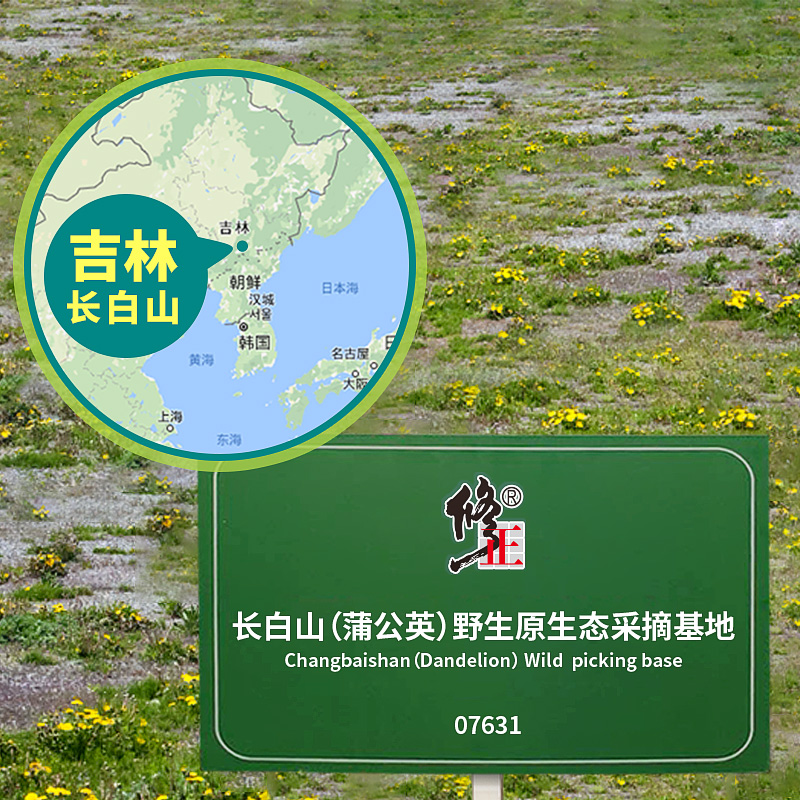 克 800 特级 带根干 蒲公英茶叶长白山野生天然蒲公英根婆婆丁纯 克 800 特级 带根干 蒲公英茶叶长白山野生天然蒲公英根婆婆丁纯