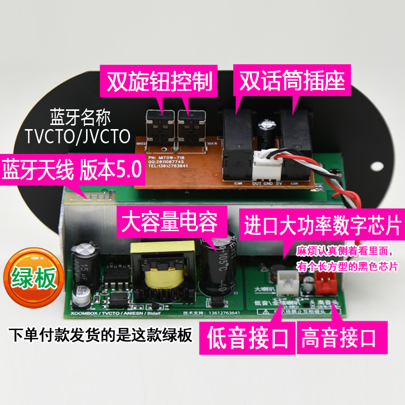 双话筒大功率蓝牙功放板12V24V220V低音炮功放板音箱主板车载通用 - 图1