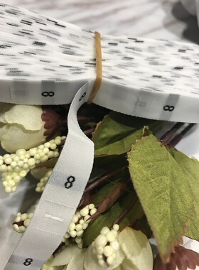 服装裤子衬衫布标数字尺码标