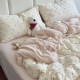 Class A cotton double-layer yarn four-piece single quilt cover