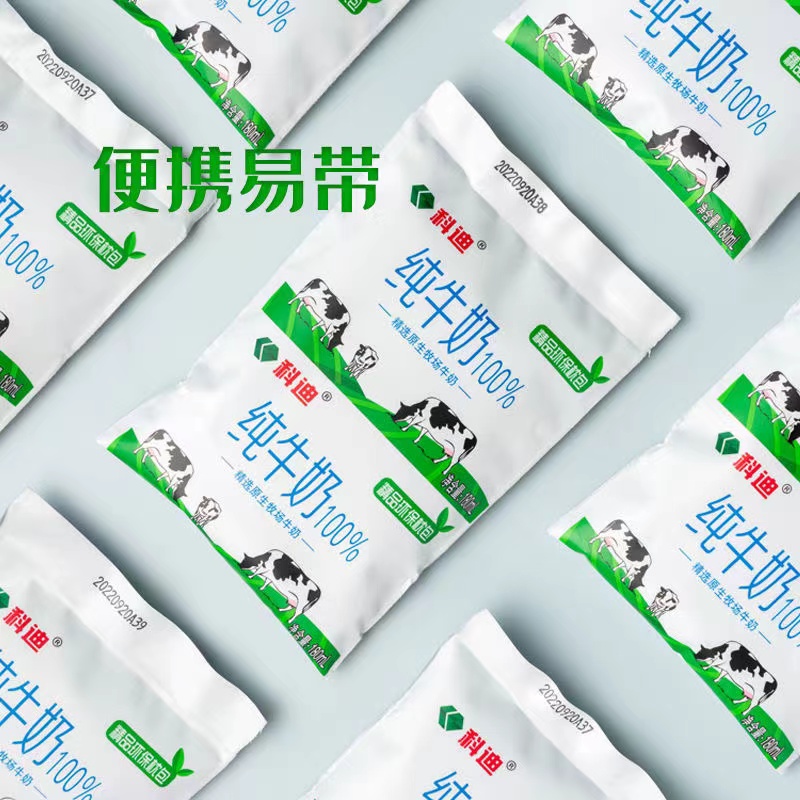 科迪纯牛奶网红奶精品枕小白奶180ml*16袋装整箱学生营养早餐奶 - 图0