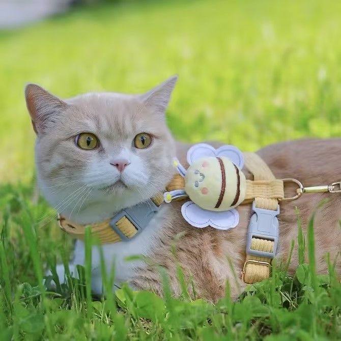 防挣脱猫咪牵引绳蜜蜂工字专用可调节狗狗牵引绳高档新款牵引绳,淘宝优惠券,粉丝福利购,淘宝优惠卷