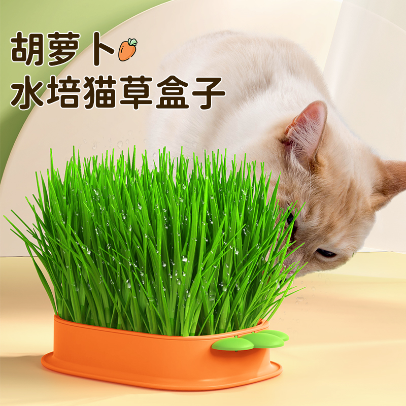 猫草盆栽无土水培化毛草自己种小麦种子育苗盘猫薄荷幼猫零食用品-图1