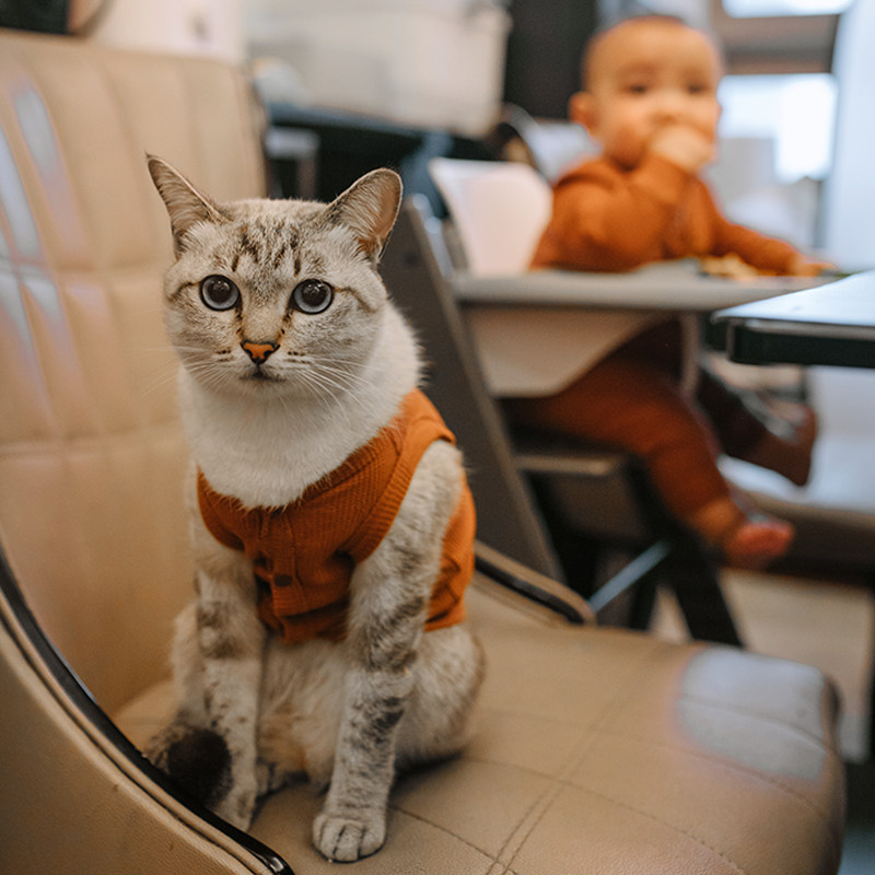 Alphagym亲子装长袖猫猫连体哈衣一家三口T恤上衣,淘宝优惠券,粉丝福利购,淘宝优惠卷