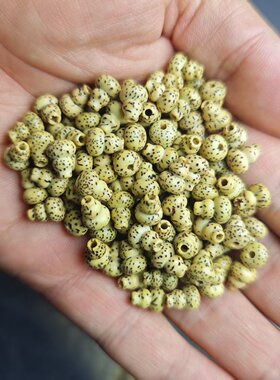 纯天然星月菩提子葫芦配饰件散珠文玩diy创意手串项链福禄寿国庆