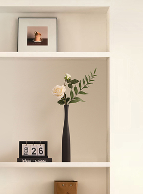 中古简约新居玄关电视柜壁龛摆件