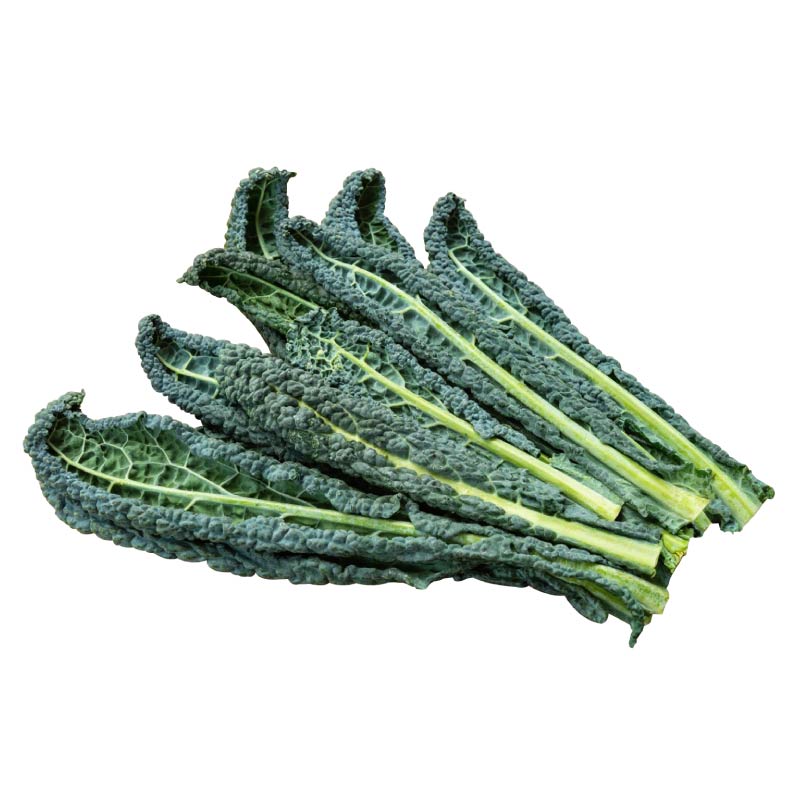 高产皱叶菜苗秧耐寒高产蓝紫粉绿羽衣甘蓝苗种子营养丰富盆栽小院 - 图3