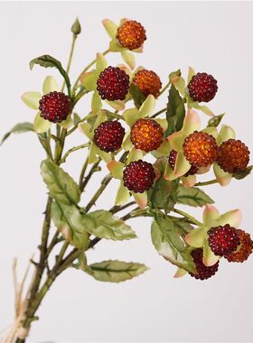 树莓ins仿真花仿真假花客厅装饰摆设插花家居果实餐桌摆件