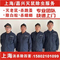 Shanghai door-to-door derangaroo company professional elimination of four evils to arrest rat service arresting rat cage clip glued rat plate