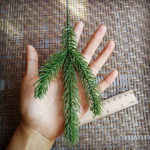 DIY рука -сделанный материал рождественские сосновые ветви декоративные дно цветочное кольцо.