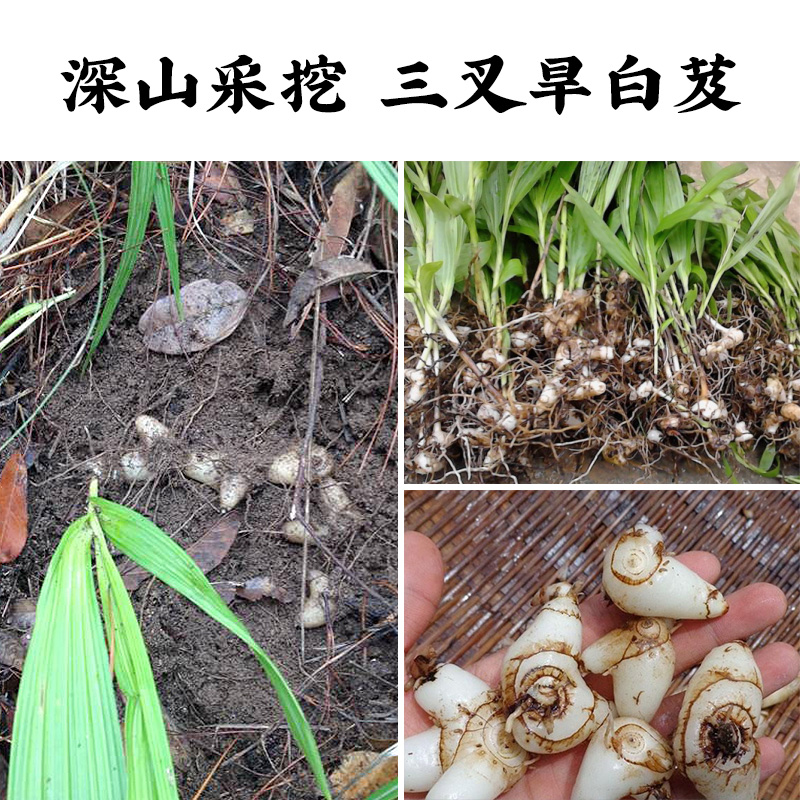 寻百草中药材野生白芨中药白及粉药材白芨粉100g旱白芨超级黏牙-图0