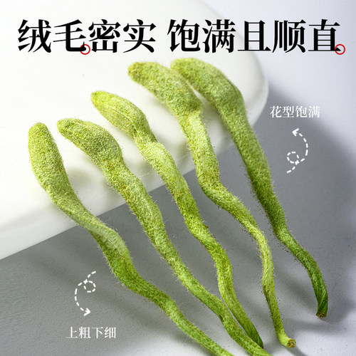 寻百草四川金银花中药材正品官方500g野生金银花干花新货泡茶水喝 - 图1