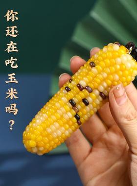真文玩玉米毛料盲盒成品彩色拇指玉米手把件七彩小宝石玉米盘玩