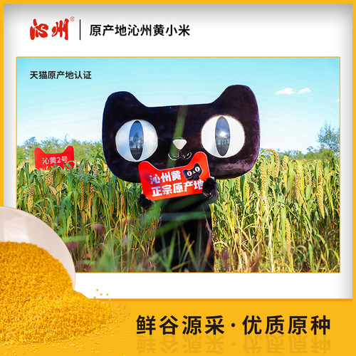 2025年新黄小米山西沁州黄小米2.5kg*2袋小米杂粮山西小米粥粗粮 - 图2