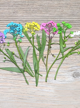 真花押花压花材料滴胶手机壳