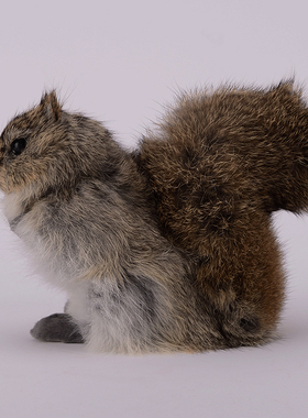 仿真小动物橱窗工艺品松鼠