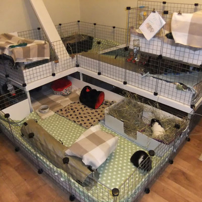 荷兰猪笼子豚鼠diy网片双层别墅天竺鼠专用防喷尿宠物兔子笼大号 虎窝淘