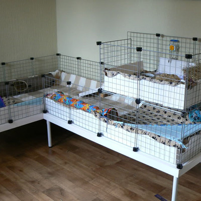 荷兰猪笼子豚鼠diy网片双层别墅天竺鼠专用防喷尿宠物兔子笼大号 虎窝淘