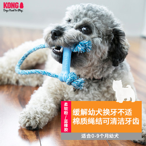 KONG绳结骨头玩具耐咬天然橡胶小型犬智力训练幼犬磨牙棒狗玩具 - 图0