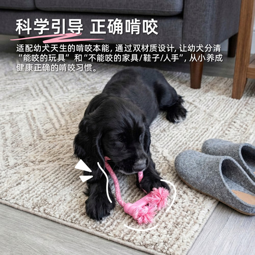 KONG绳结骨头玩具耐咬天然橡胶小型犬智力训练幼犬磨牙棒狗玩具 - 图3
