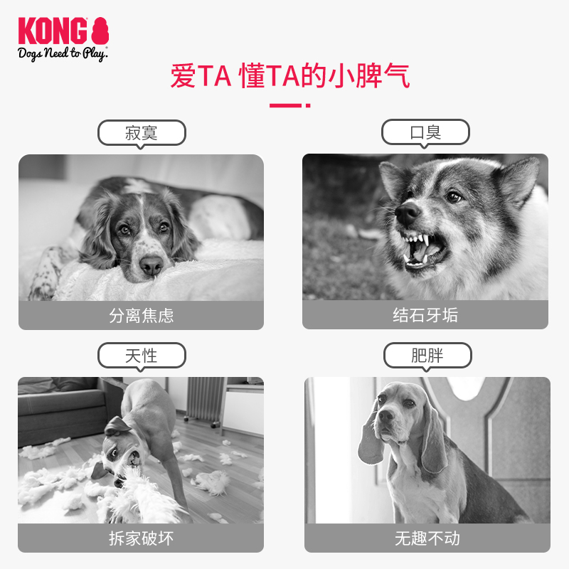 KONG狗玩具发声绳结狐狸拉扯发泄磨牙洁齿比熊小型犬宠物解闷自嗨