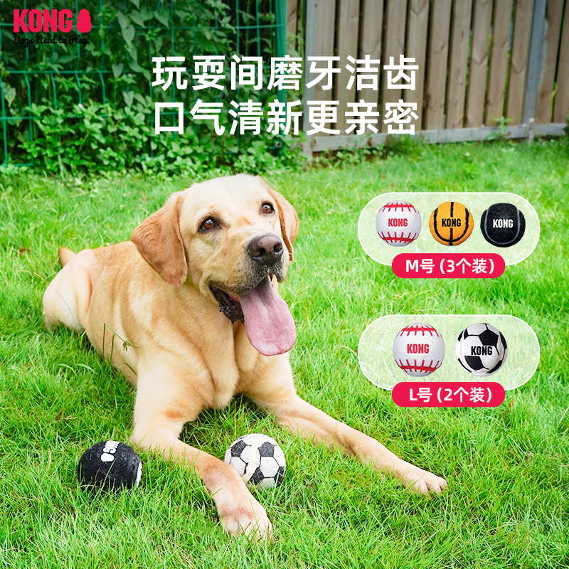 KONG狗玩具球宠物互动训练边牧磨牙耐咬遛狗球形橡胶运动球组合装