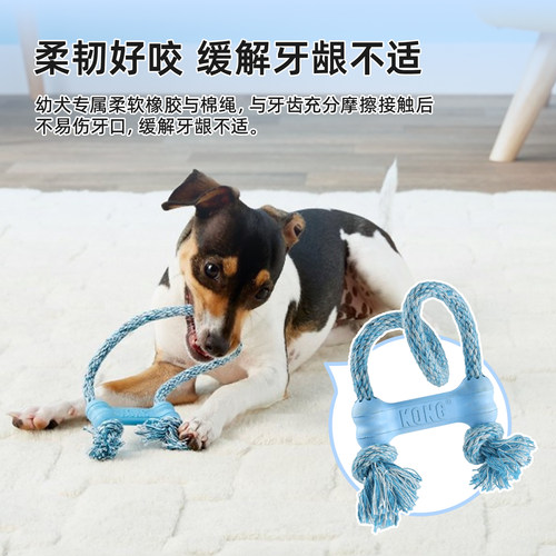 KONG绳结骨头玩具耐咬天然橡胶小型犬智力训练幼犬磨牙棒狗玩具 - 图2