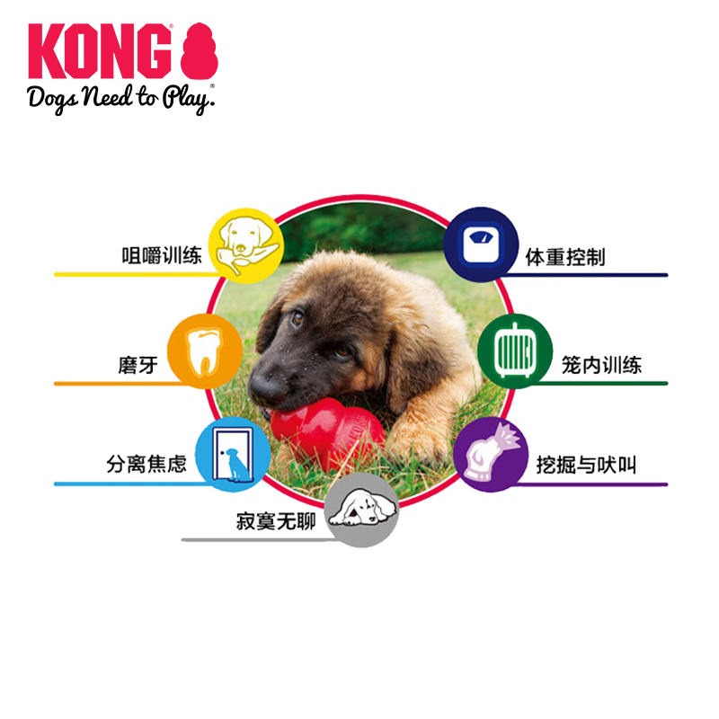 KONG经典加强型葫芦漏食球宠物训练27-41kg狗狗耐咬玩具组合