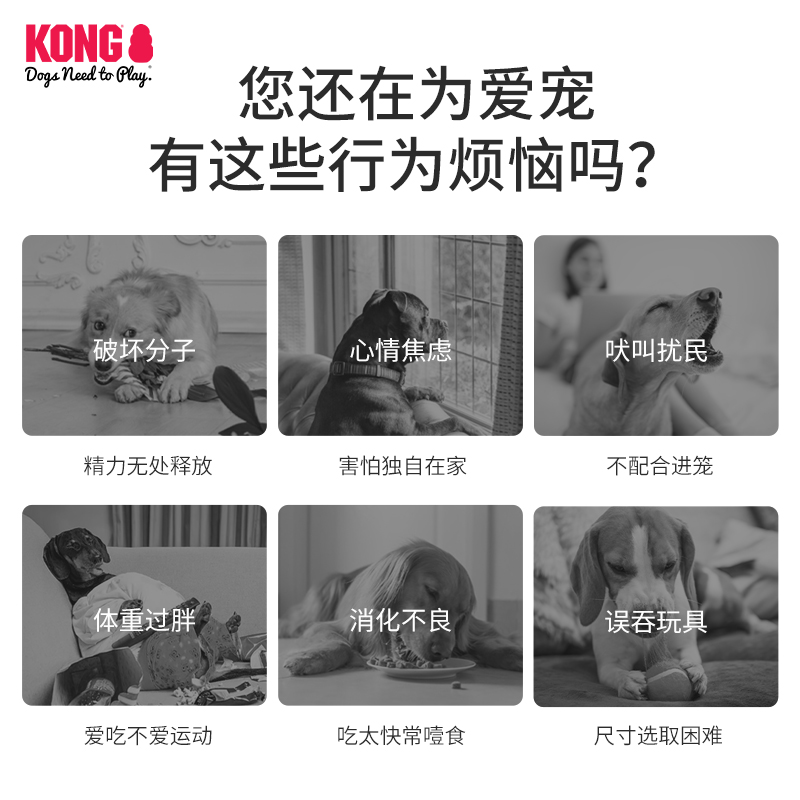 KONG狗狗玩具漏食球耐咬橡胶葫芦大型犬磨牙丰容藏食益智宠物玩具-图2